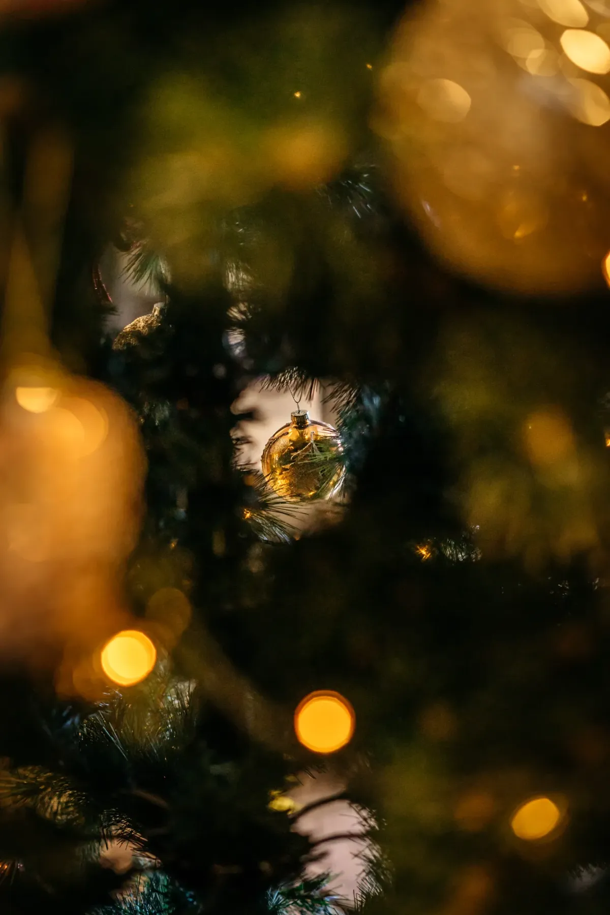 Goldener Weihnachtsbaum-Schmuck durch dunkelgr&uuml;ne Tannenzweige und warmgelb gl&uuml;hende Weihnachtslichter.