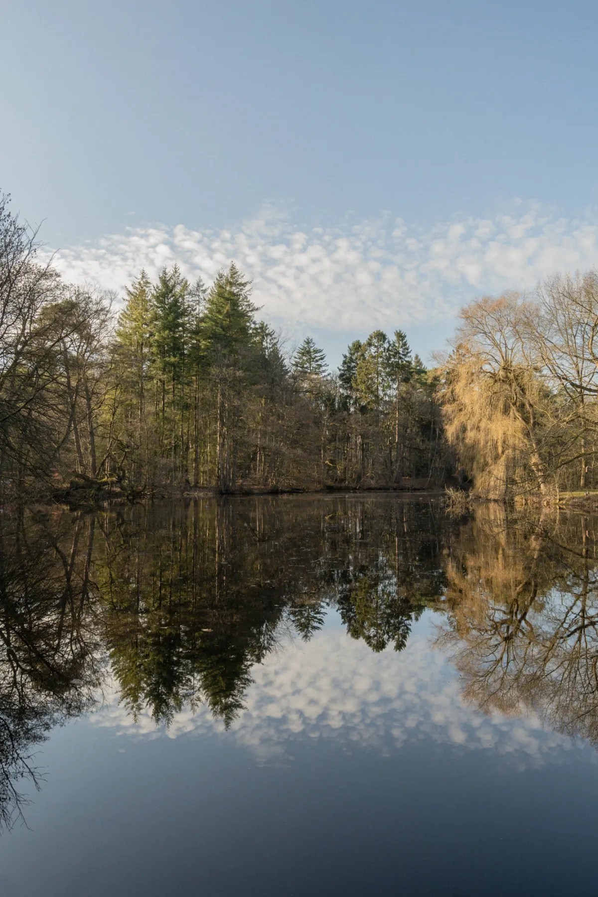Stille Seenlandschaft mit spiegelndem Wasser, umgeben von Wald und kahlen B&auml;umen unter blauem Himmel mit wei&szlig;en Wolken.