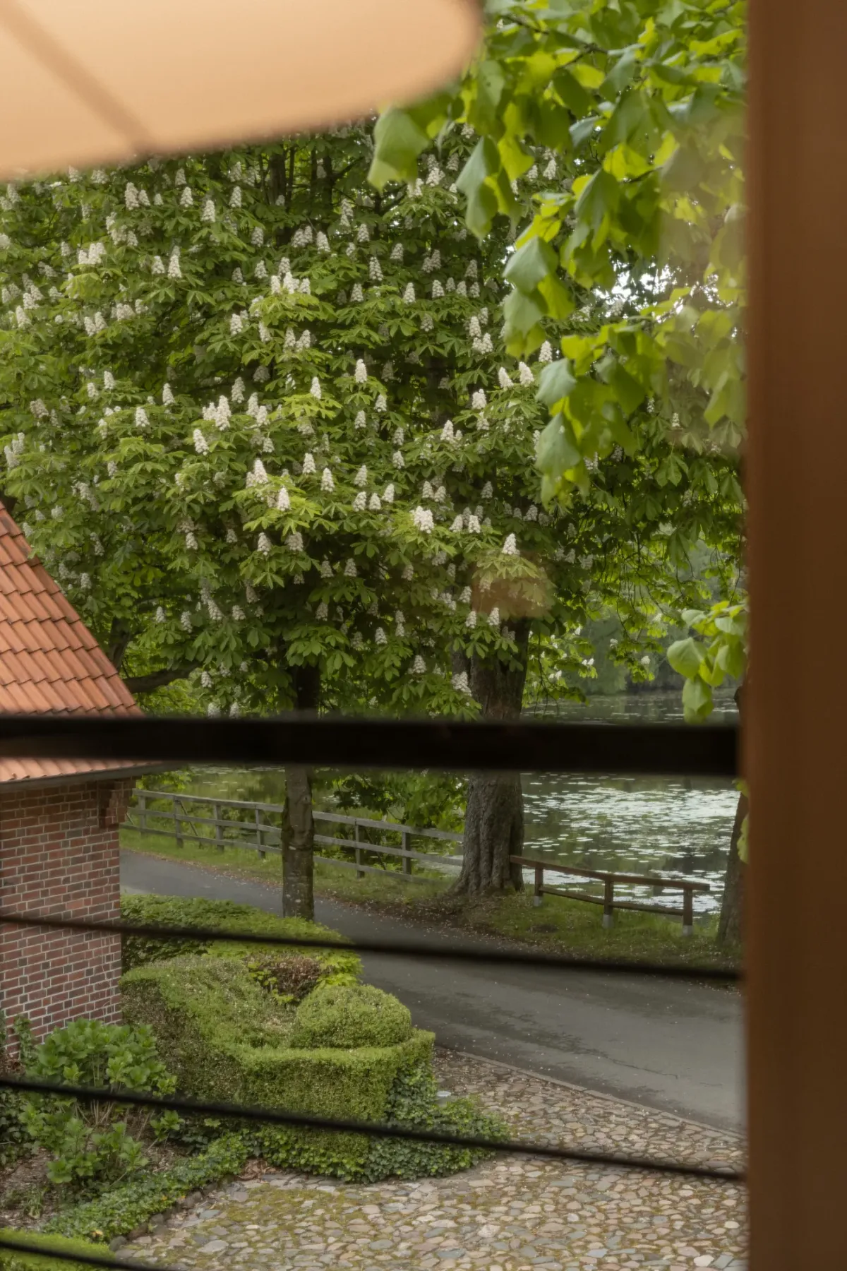 Blick durch ein Fenster auf &uuml;ppig gr&uuml;ne Vegetation, einen gepflasterten Weg und eine Wasserfl&auml;che im Hintergrund mit Ziegeldach eines Geb&auml;udes.