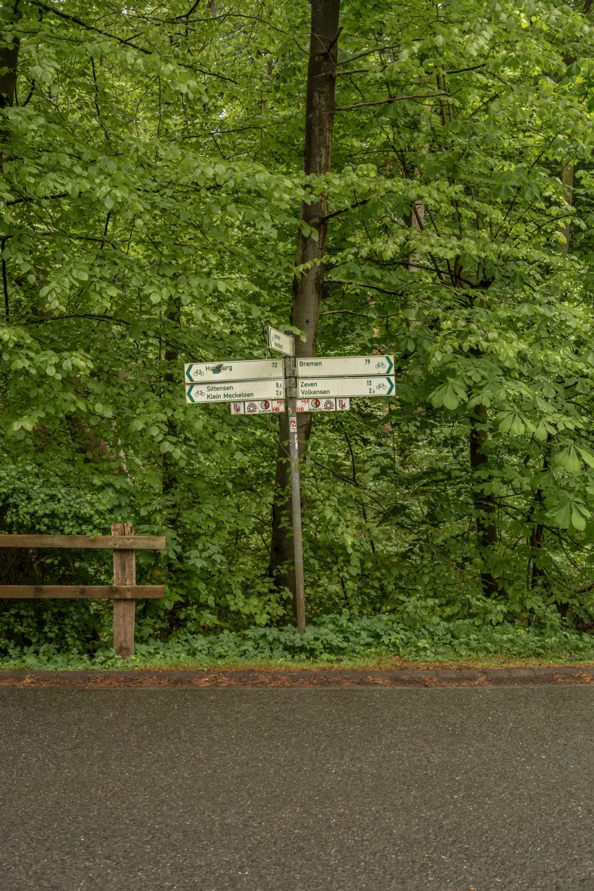 Wegweiser an einem Baum im gr&uuml;nen Wald mit Stra&szlig;e im Vordergrund, zeigt den Weg zur Klosterm&uuml;hle.