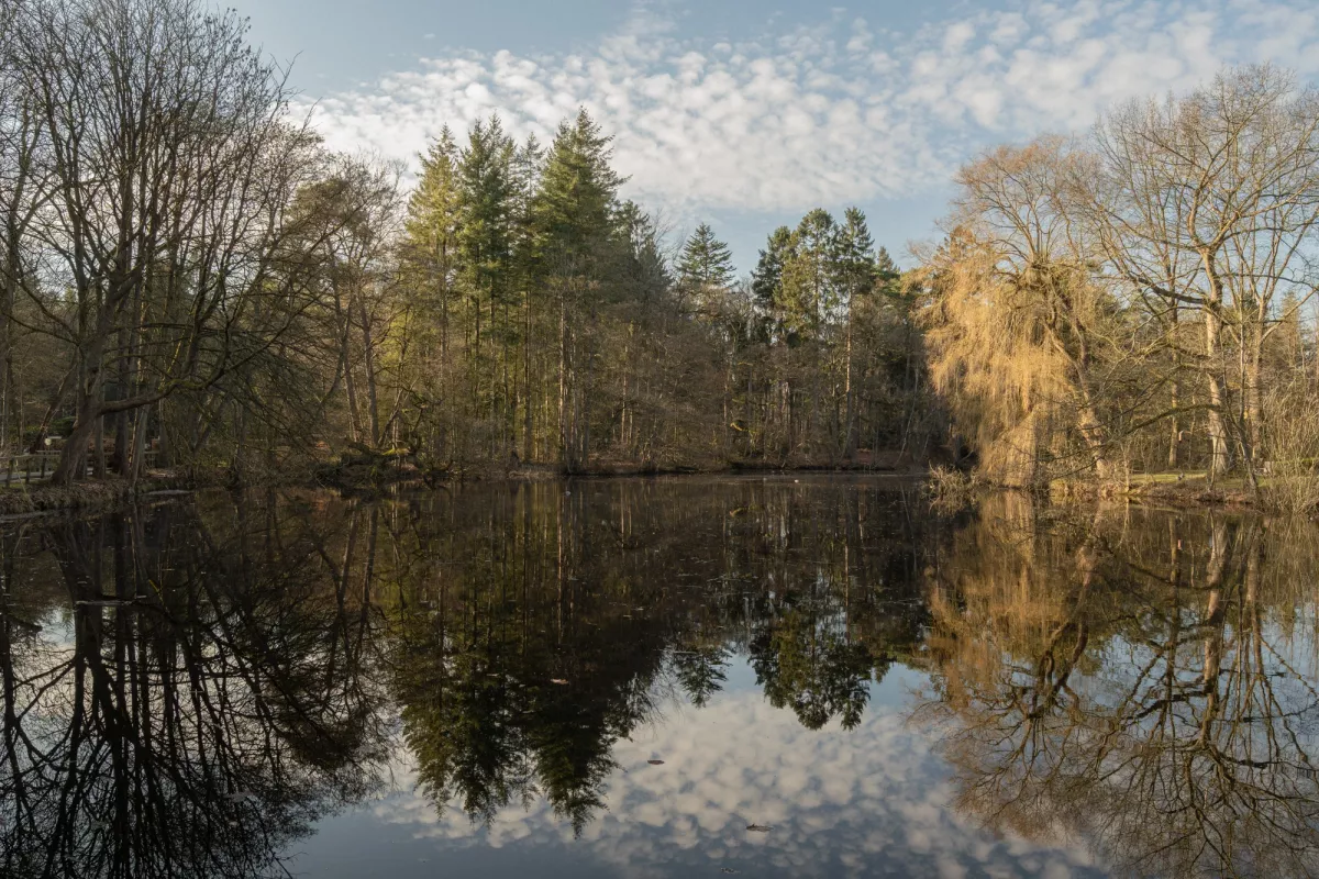Spiegelglatte Wasserfl&auml;che eines Sees mit umliegenden B&auml;umen in Herbstf&auml;rbung und deren Spiegelungen, bew&ouml;lkter Himmel.