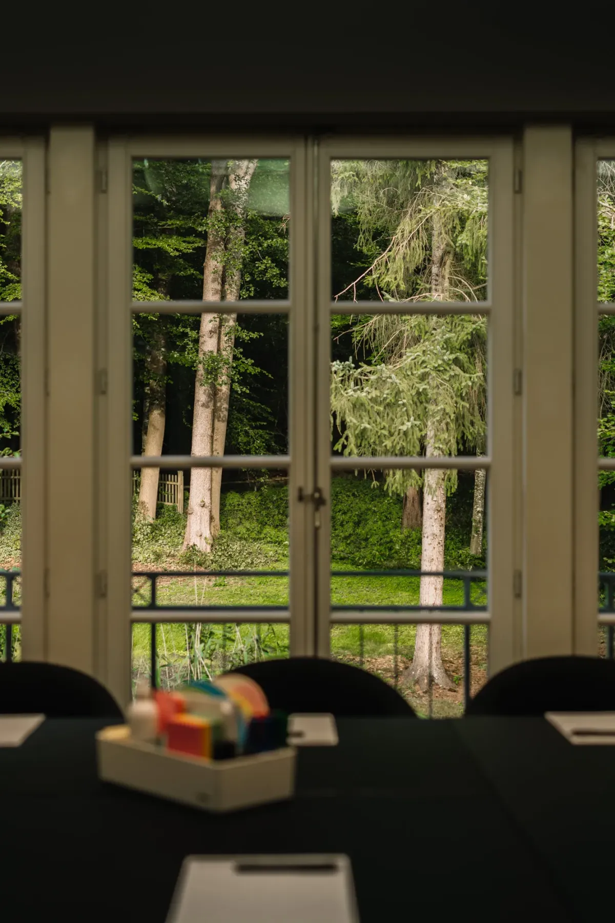 Blick aus einem Seminarraum durch gro&szlig;e Fenster auf gr&uuml;ne Wiese und Baumbestand, im Vordergrund unscharfe schwarze St&uuml;hle.