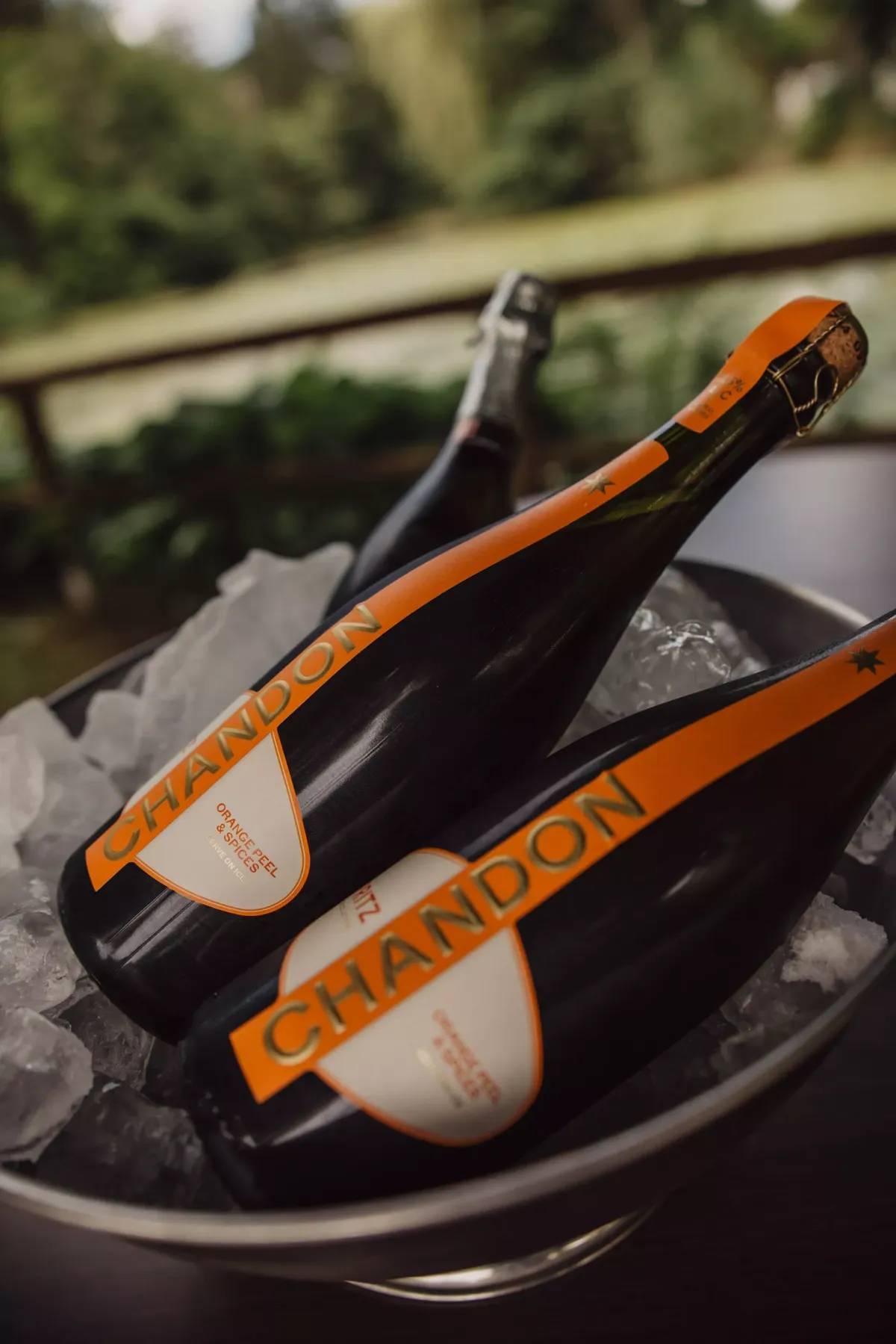 Zwei Flaschen Chandon Champagner in Eisk&uuml;bel mit gr&uuml;nem Garten im Hintergrund.