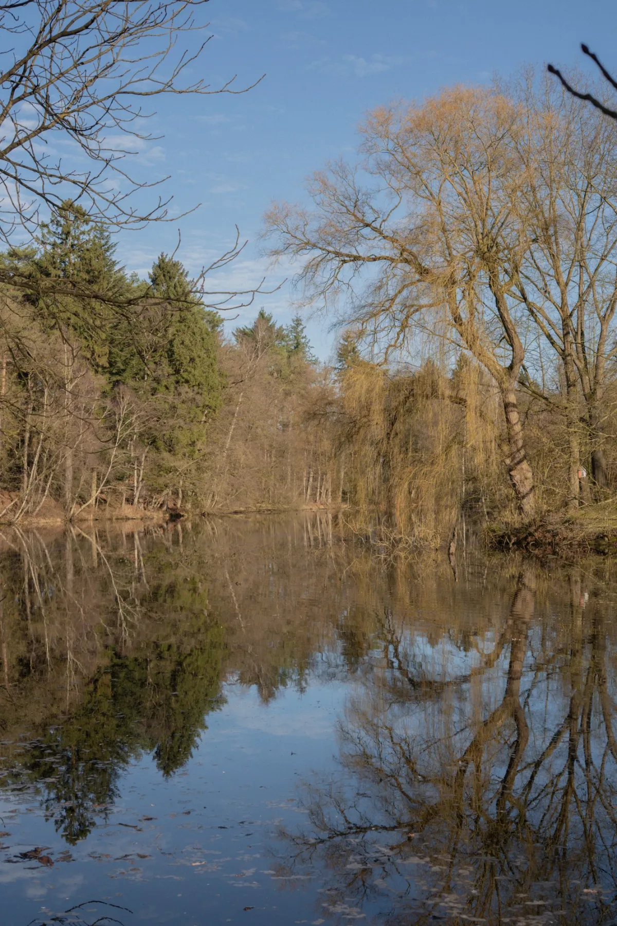 Stille Flusslandschaft mit kahlen und gr&uuml;nen B&auml;umen, deren Spiegelbilder sich im ruhigen Wasser widerspiegeln unter blauem Himmel.